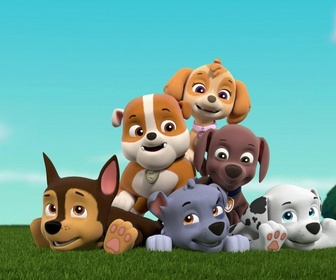 Replay Paw Patrol, la Pat'Patrouille - Trisha sème la pagaille