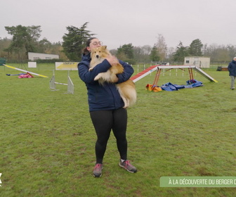 Replay L'hebdo des animaux - S1E8 - Episode 8