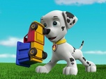 Replay Paw Patrol, la Pat'Patrouille - La moustache de Monsieur Hellinger