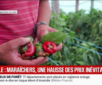 Replay BFM Première - Fruits et légumes: les récoltes s'effondrent en raison de la canicule, les prix devraient augmenter