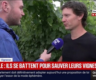 Replay BFM Première - C'est une bonne nouvelle: ce vigneron se réjouit de la fin de la canicule dans le Haut-Rhin