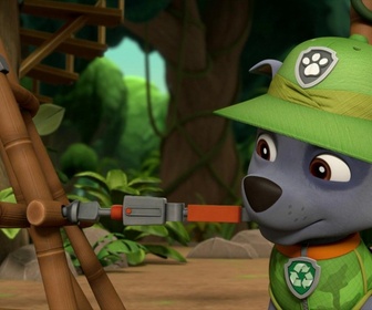 Replay Paw Patrol, la Pat'Patrouille - La surprise de Ryder