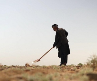 Replay Focus - L'Afghanistan frappé par sa pire sécheresse depuis 30 ans