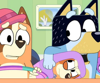 Replay Bluey - 17/12/2025