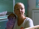 Replay Animaux à adopter - Mia et ses chiots