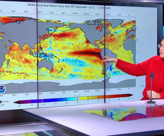 Replay Élément Terre, la quotidienne - Submersion des côtes californiennes: la conséquence d'un El Niño exceptionnel