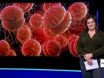 Replay Info ou intox - Les autorités françaises cachent-elles une épidémie de méningite dans le pays ?