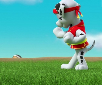 Replay Paw Patrol, la Pat'Patrouille - Maître Yumi