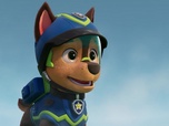 Replay Paw Patrol, la Pat'Patrouille - L'os d'émeraude a disparu