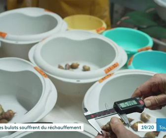 Replay Les dossiers d'ICI - 16/12/2025