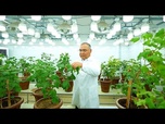 Replay Le ministre de l'agriculture ouzbek qui a transformé la génétique de l'agriculture