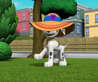 Replay Paw Patrol, la Pat'Patrouille - Mission camion : Le chalet snowboarder