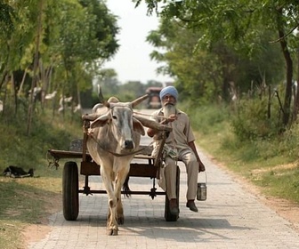 Replay Rudyard Kipling en Inde / Bourgogne / Suisse - Invitation au voyage