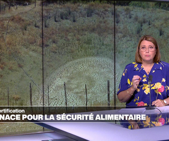 Replay Élément Terre, la quotidienne - Désertification: la COP17 à la recherche de moyens pour assurer la sécurité alimentaire mondiale