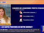 Replay C'est votre vie - Les super-pouvoirs de notre odorat sur nos capacités cognitives