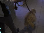 Replay Véto & Co - S5 E8