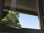 Replay Un monde plus chaud et sec - Allemagne : la chaleur, une question constitutionnelle ?