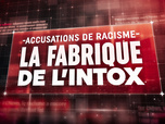 Replay Accusations de racisme : la fabrique de l'intox - la fabrique de l'intox - Accusations de racisme