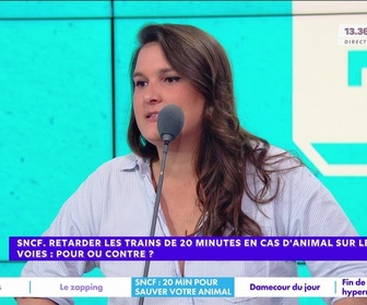 Replay Estelle Midi - SNCF. Retarder les trains de 20 minutes en cas d'animal sur les voies : pour ou contre ?