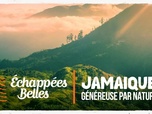 Replay Échappées belles - S16 E23 - Jamaïque, généreuse par nature