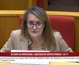 Replay 100% Sénat - Accord UE - Mercosur : audition de Sophie Primas