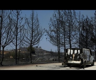 Replay 125 km² brûlés et deux morts : Chypre fait le bilan des destructions suite à un feu de forêt