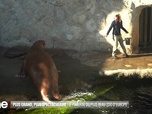 Replay Zone interdite - Toujours plus grand, toujours plus spectaculaire : le pari fou du plus beau zoo d'Europe