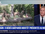 Replay BFM Première prématinale - Le break du 18 septembre