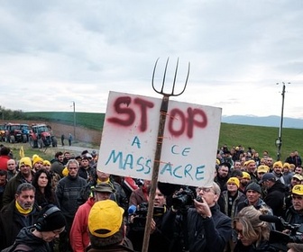 Replay 28 minutes - DNC : l'épidémie qui ébranle l'élevage français ?