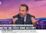 Replay 20H BFM - Dermatose bovine: pour Sébastien Chenu (RN), Annie Genevard sous-estime l'effet traumatique du monde paysan