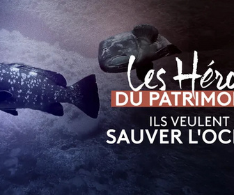 Replay Les héros du patrimoine - Ils veulent sauver l'océan