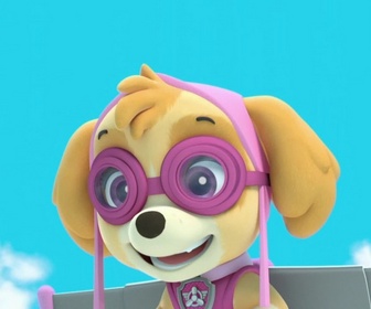 Replay Paw Patrol, la Pat'Patrouille - La grenouille qui vole