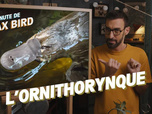 Replay La minute de Max Bird - L'Ornithorynque