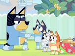 Replay Bluey - S2 E6 - La fête des souches