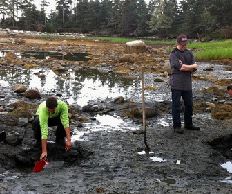 Replay Le mystère d'Oak Island : la course au trésor - S1E2 - Le mystère de Smith's Cove