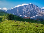 Replay Suisse, le renouveau des alpages - Paradis naturels retrouvés