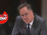 Replay 100% Sénat - Protéger face aux ingérences numériques étrangères