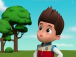 Replay Paw Patrol, la Pat'Patrouille - Dans la peau de madame Goodway