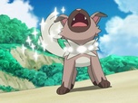 Replay Pokemon - S20 E15 - Sur le Plateau des Griffes !