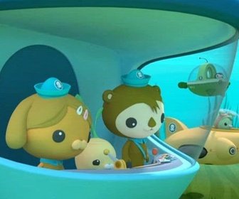 Replay Les Octonauts et les dauphins à long bec