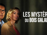 Replay Les mystères du Bois Galant