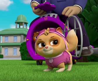Replay Paw Patrol, la Pat'Patrouille - La Piñata