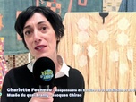 Replay Tfou d'Info du 10 juin 2026
