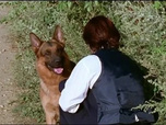 Replay Rex, chien flic - Séduction mortelle