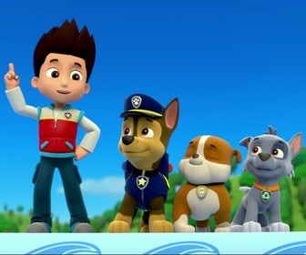 Replay Paw Patrol, la Pat'Patrouille - La piscine