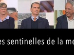 Replay DébatDoc - Peut-on encore sauver la Méditerranée ?