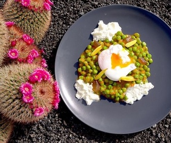 Replay Lanzarote, Espagne - Cuisines des terroirs