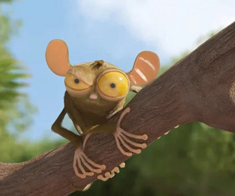 Replay Les as de la jungle : en direct - 04/06/2026