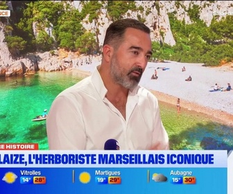 Replay Les longs formats des Locales - Dans notre histoire : focus sur la lavande des Alpilles