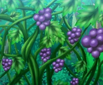 Replay Pokémon : les horizons - La sombre Ball qui ne voulait pas s'ouvrir